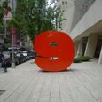 Dsc00610
